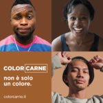 color carne_card 3